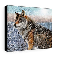 "The Guardian" Winter Fine Art Canvas Painting (gray wolf in a woodland landscape)