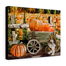 "Pumpkin Patch" Autumn Canvas Art ( Country Cat,Old Antique Wagon In October)