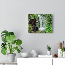 "Over the Mountain" (Black Bear at the edge of a waterfall) Canvas Art
